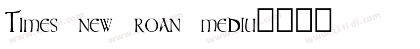 Times new roan mediu字体转换
